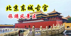 欧洲人兽色网中国北京-东城古宫旅游风景区